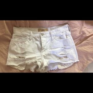 Hollister festival shorts